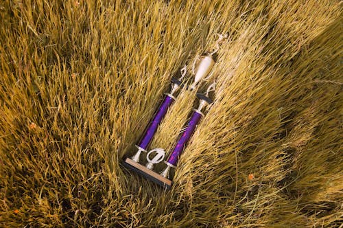 Free A purple and gold razor sitting in a field Stock Photo