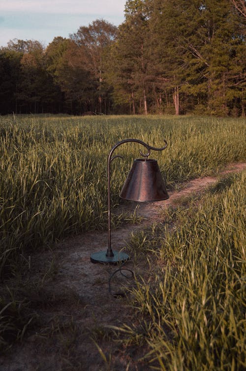 Immagine gratuita di alberi, artistico, campagna