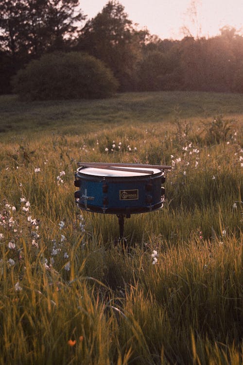 Immagine gratuita di bacchette, campagna, campo