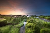 这里的沿海景观令人惊叹，以苔藓覆盖的岩石和色彩缤纷的日落天空为特色