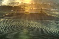 Green Grass Field Scenery
