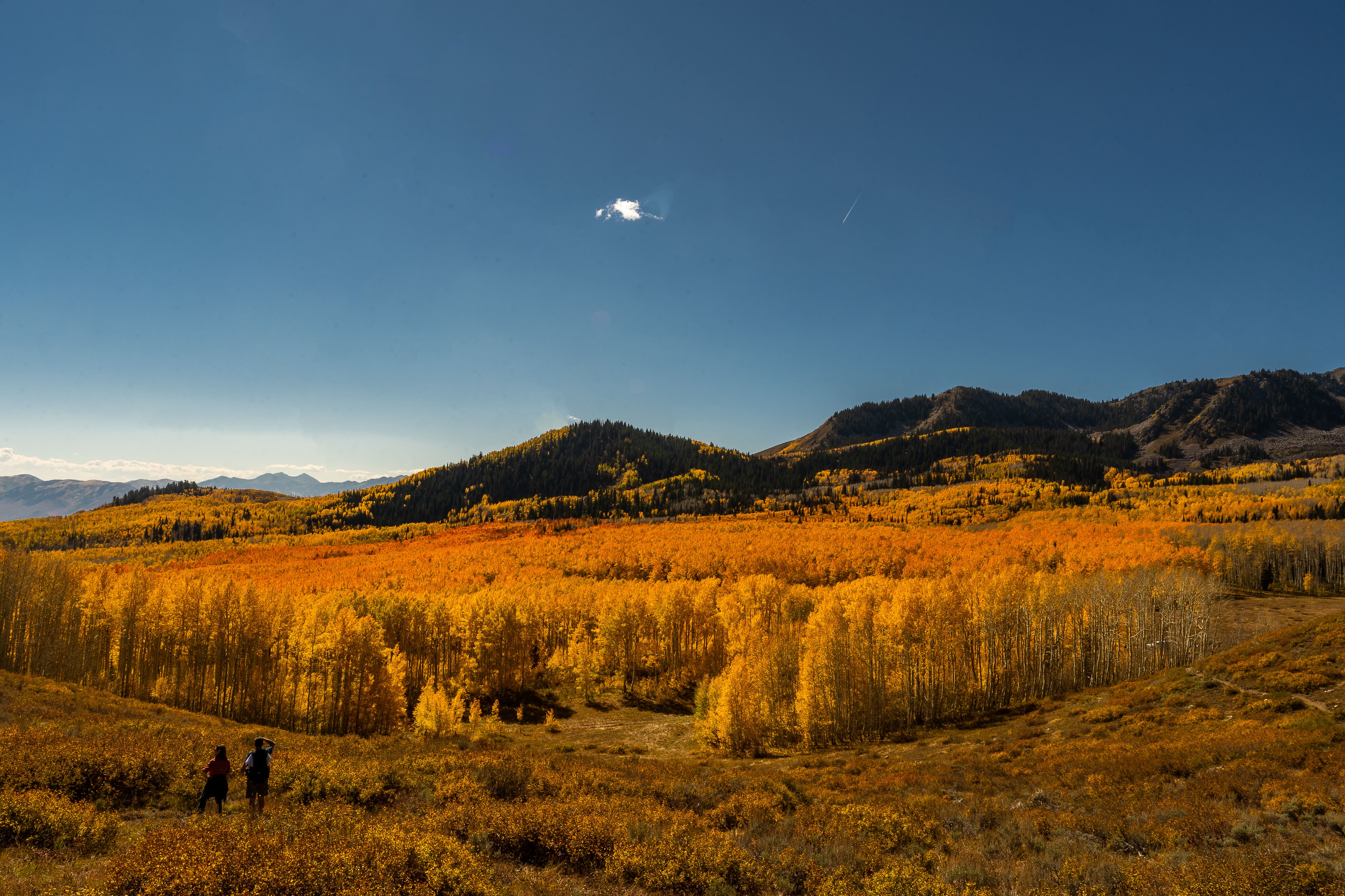 Park City Land Sales Jumped 46% While Condo Sales Fell (What Those Buyers Know)