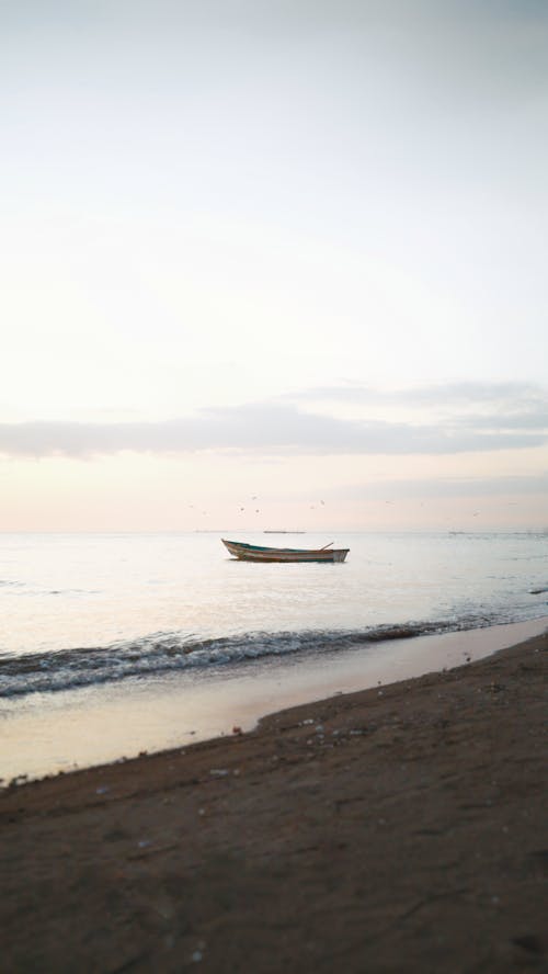 보트, 아름다운 석양, 해변의 무료 스톡 사진