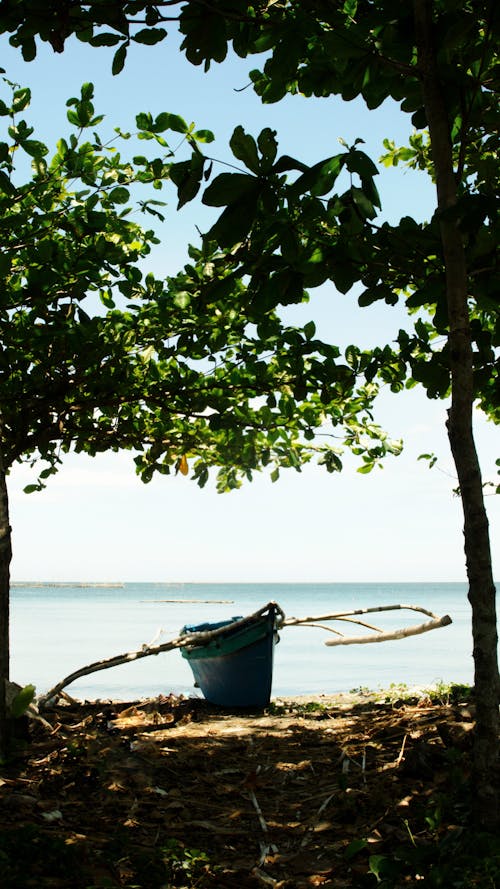 푸른 보트, 해변에서의 무료 스톡 사진