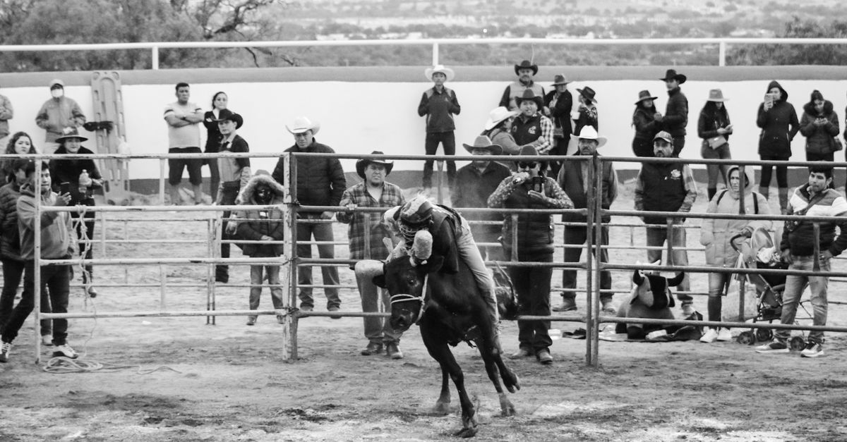 Two Nights, One Arena: What Makes the Wylie Championship Rodeo a Collin County Tradition