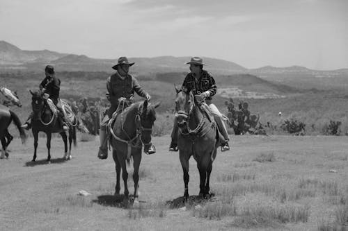 Ingyenes stockfotó álló kép, cowboyok, fekete háttér témában