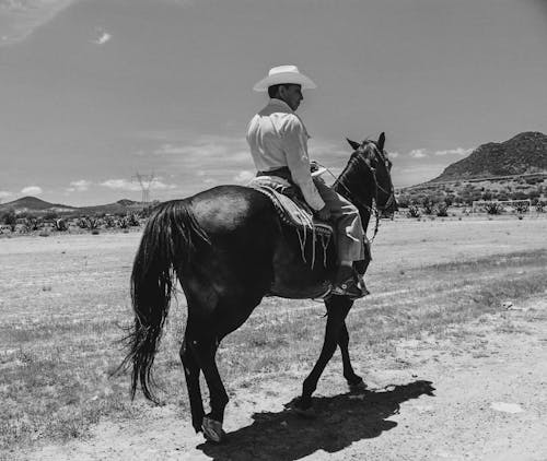 Gratis lagerfoto af bjerg, Cowboy, cowboyhat