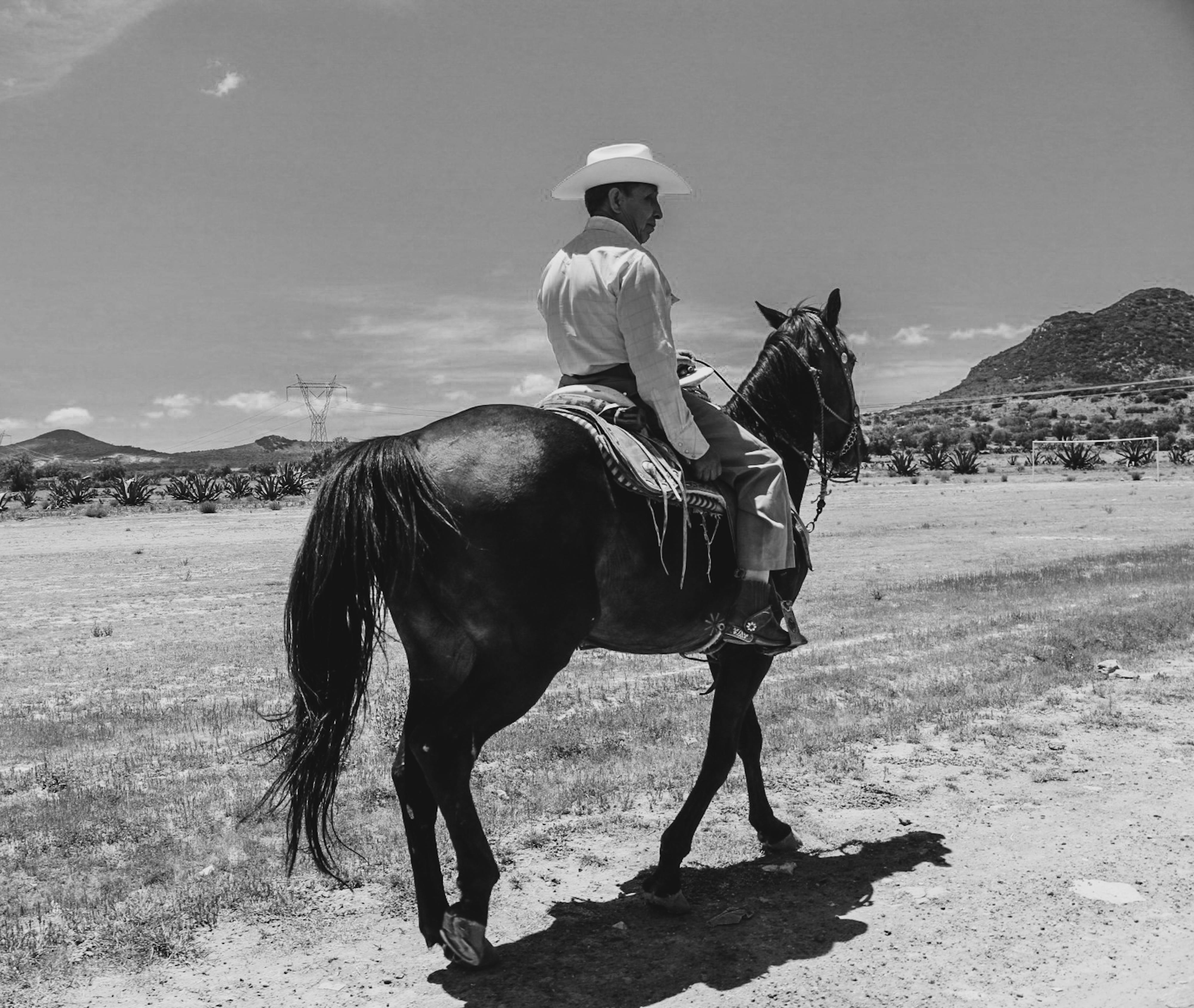 Cowboy Riding in the Desert