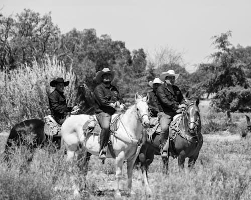 People Horseback Riding