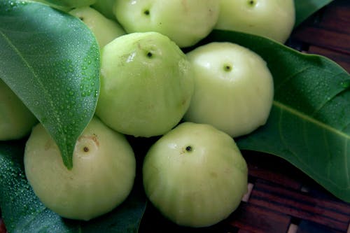 Free stock photo of fresh, fruit, green