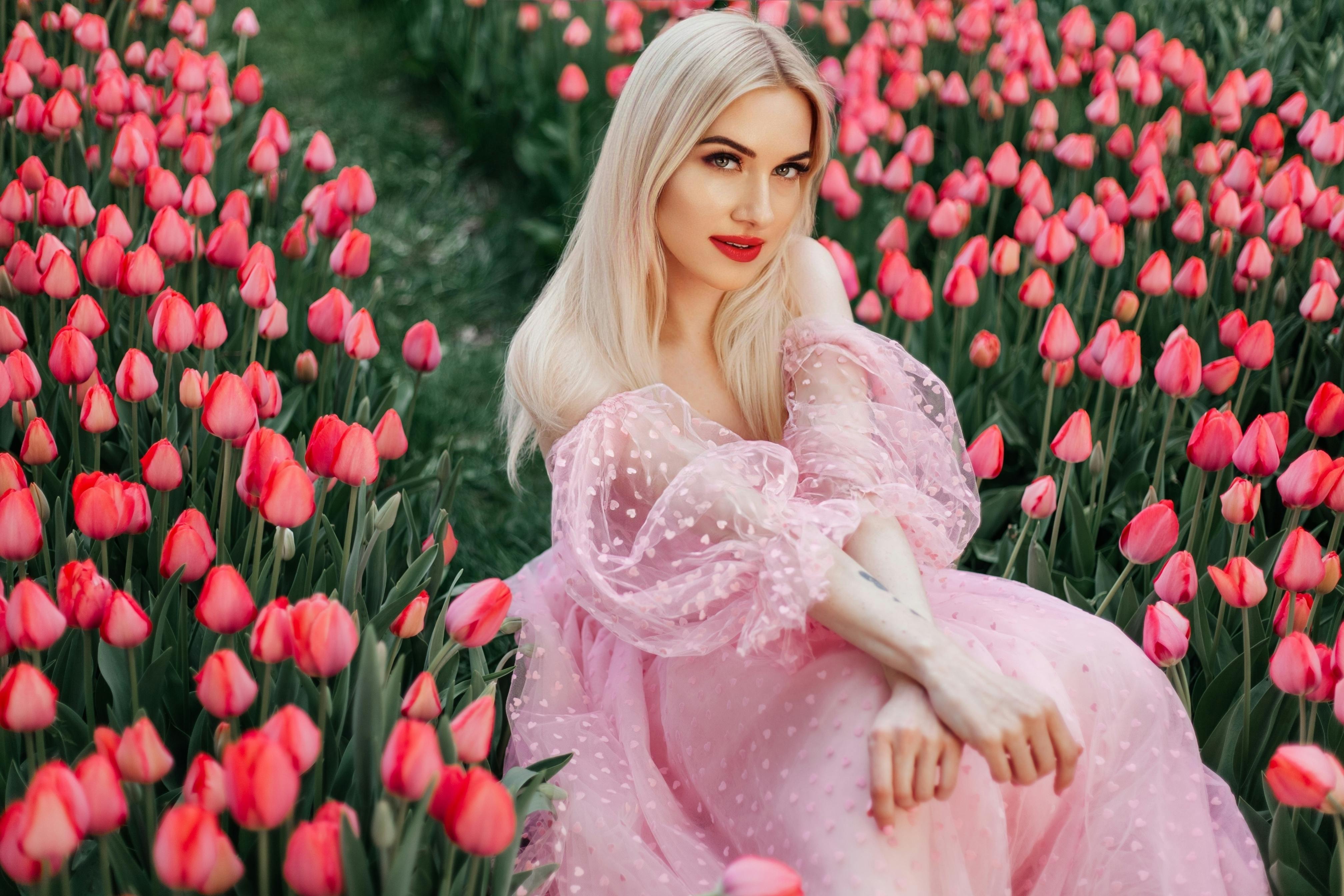 Gratis Foto stok gratis alam, anggun, aranha Foto Stok