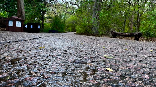 Walking path