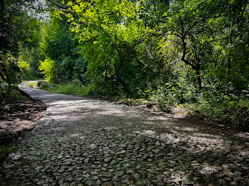 Walking path