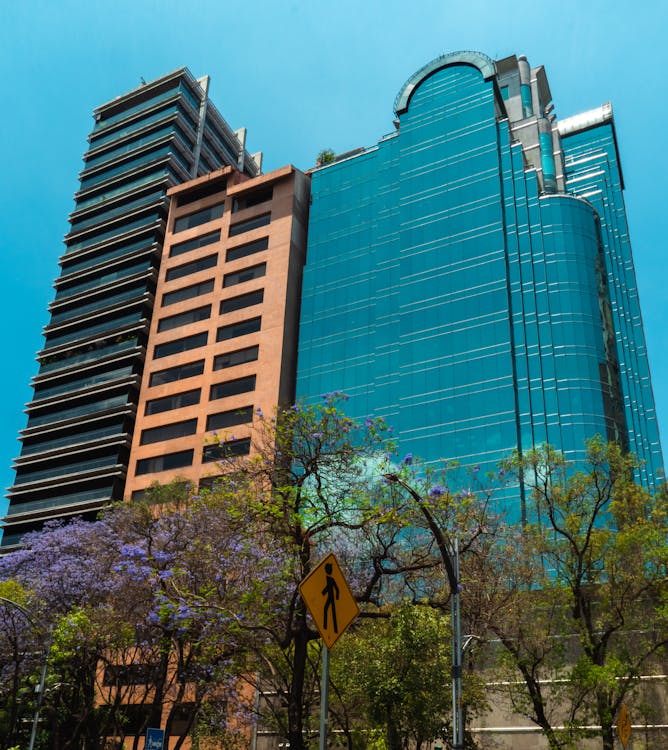 A tall building with a blue sky and trees