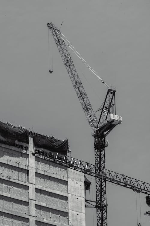 Black and white photo of a crane on top of a building