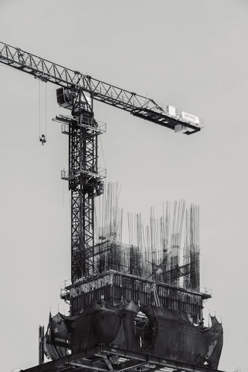 A black and white photo of a crane