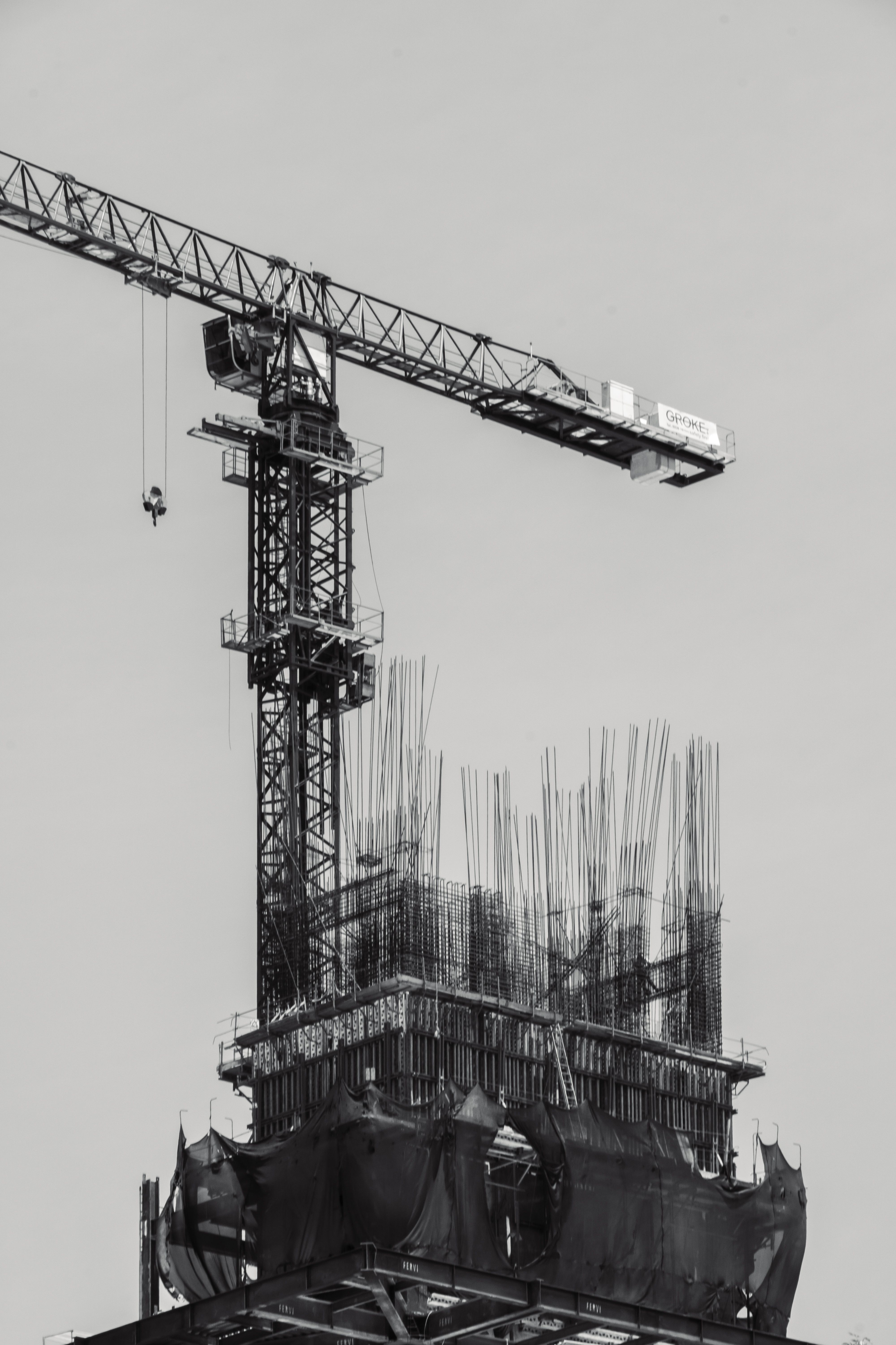 A black and white photo of a crane · Free Stock Photo