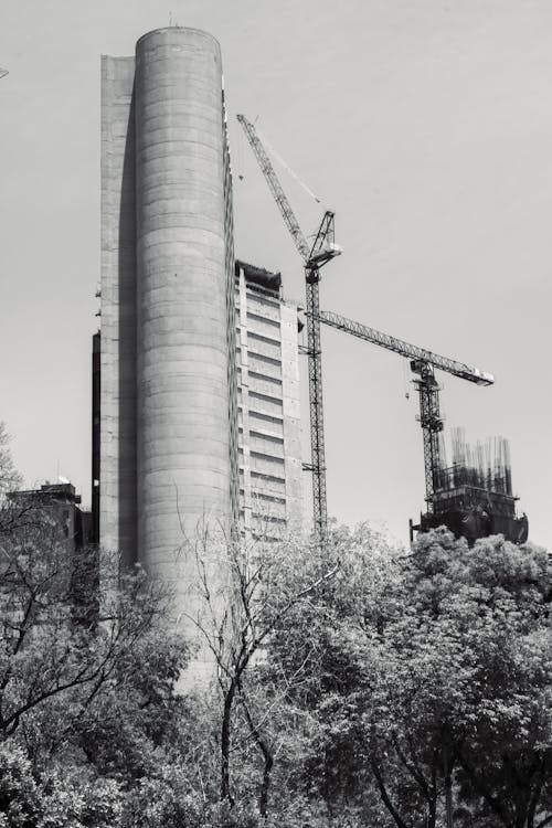 Gratis stockfoto met bomen, bouwkranen, flat