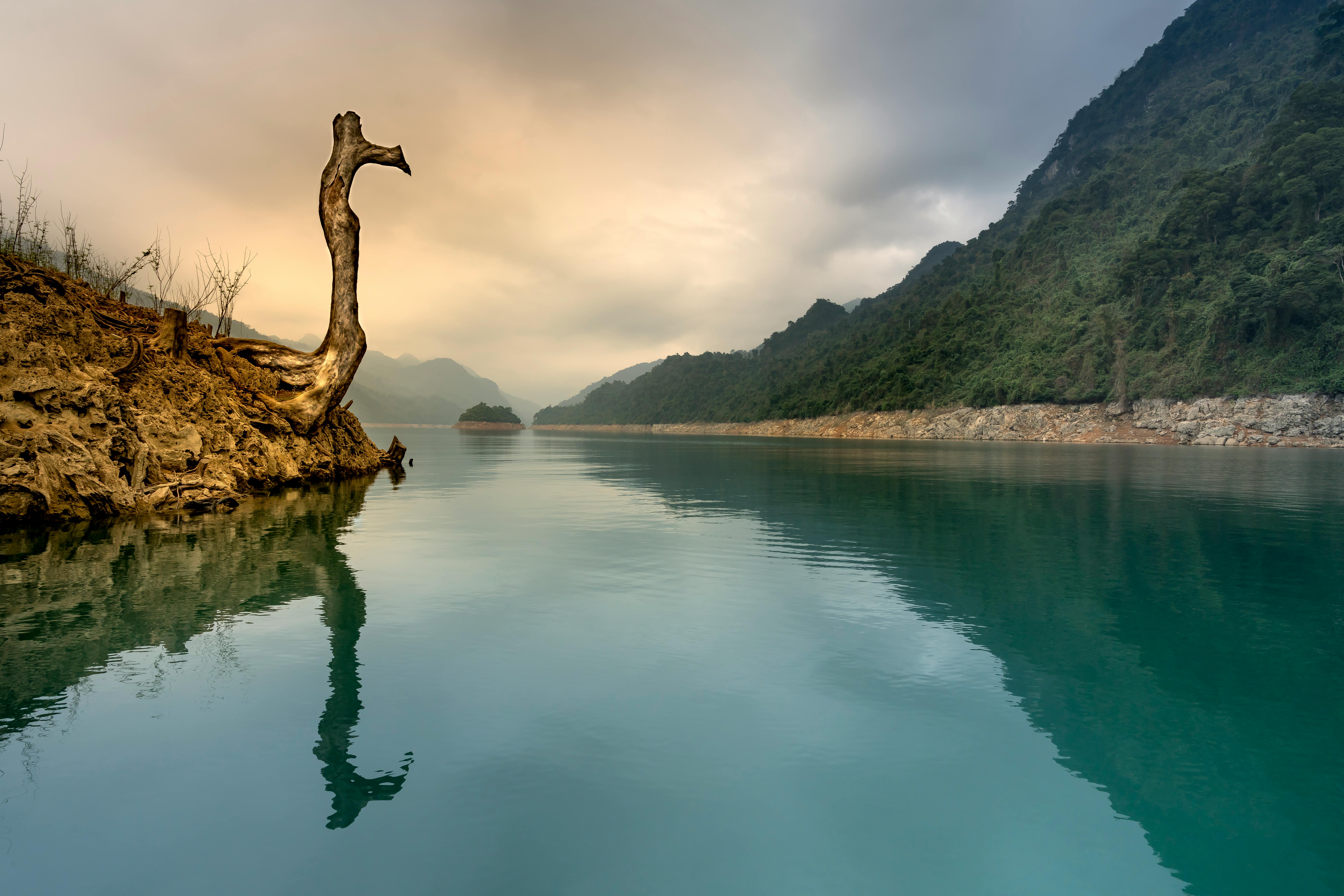 黎明时分，宁静的河面上，树木的倒影映衬着山脉