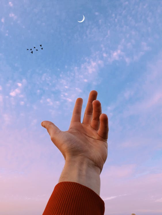 Základová fotografie zdarma na téma natahování ruky, obloha, osoba