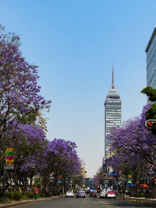 Foto stok gratis bangunan, cityscape, gedung menara