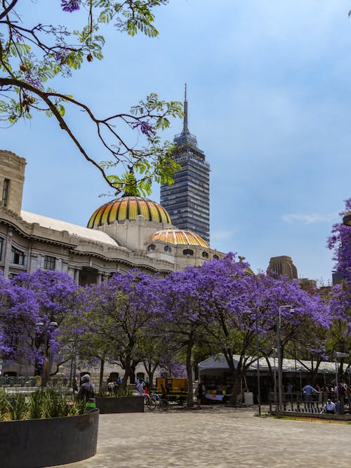 A city square with purple trees and buildings