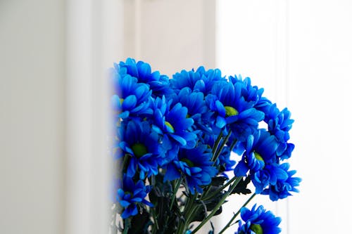 Blue Flowers bouquet 