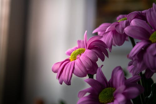 Pink Flowers bouquet 