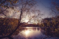 暮色迷人，宁静的湖泊四周环绕着树木的轮廓