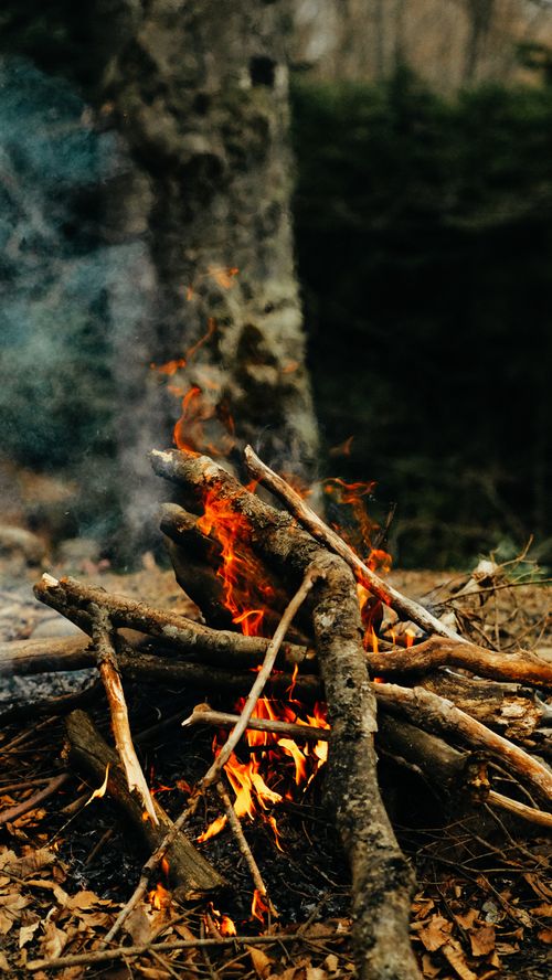 Free A warm campfire surrounded by autumn leaves in Zonguldak, Türkiye forest, emitting smoke and heat. Stock Photo