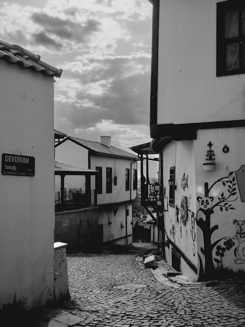 คลังภาพถ่ายฟรี ของ ขาวดำ, ถนนในเมือง, บ้าน