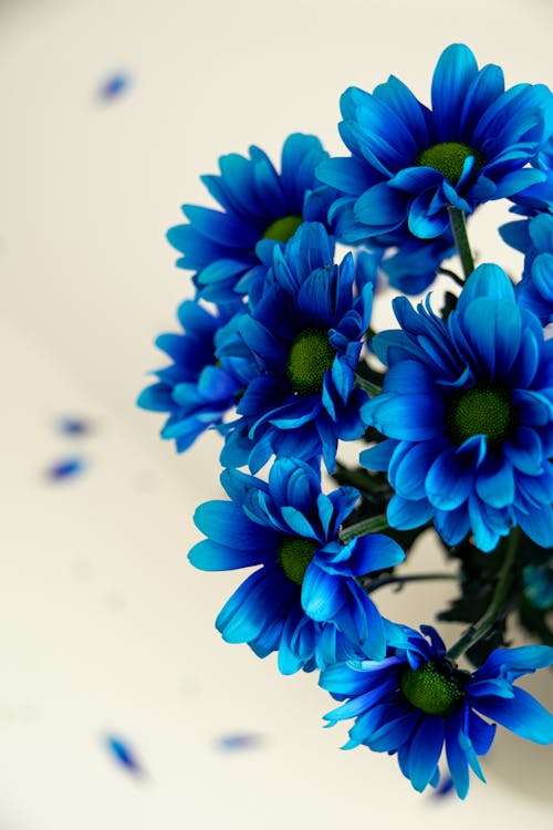 Blue Flowers bouquet 