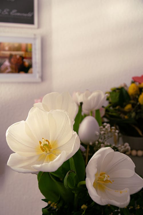 คลังภาพถ่ายฟรี ของ ขาว, ครอบครัว, ช่อดอกไม้