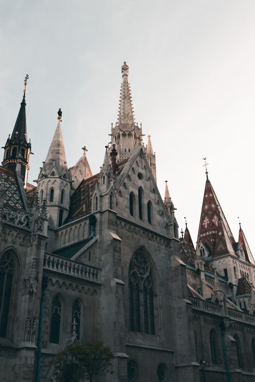 Free Stunning architectural details of Matthias Church in Budapest, Hungary, captured under soft daylight. Stock Photo