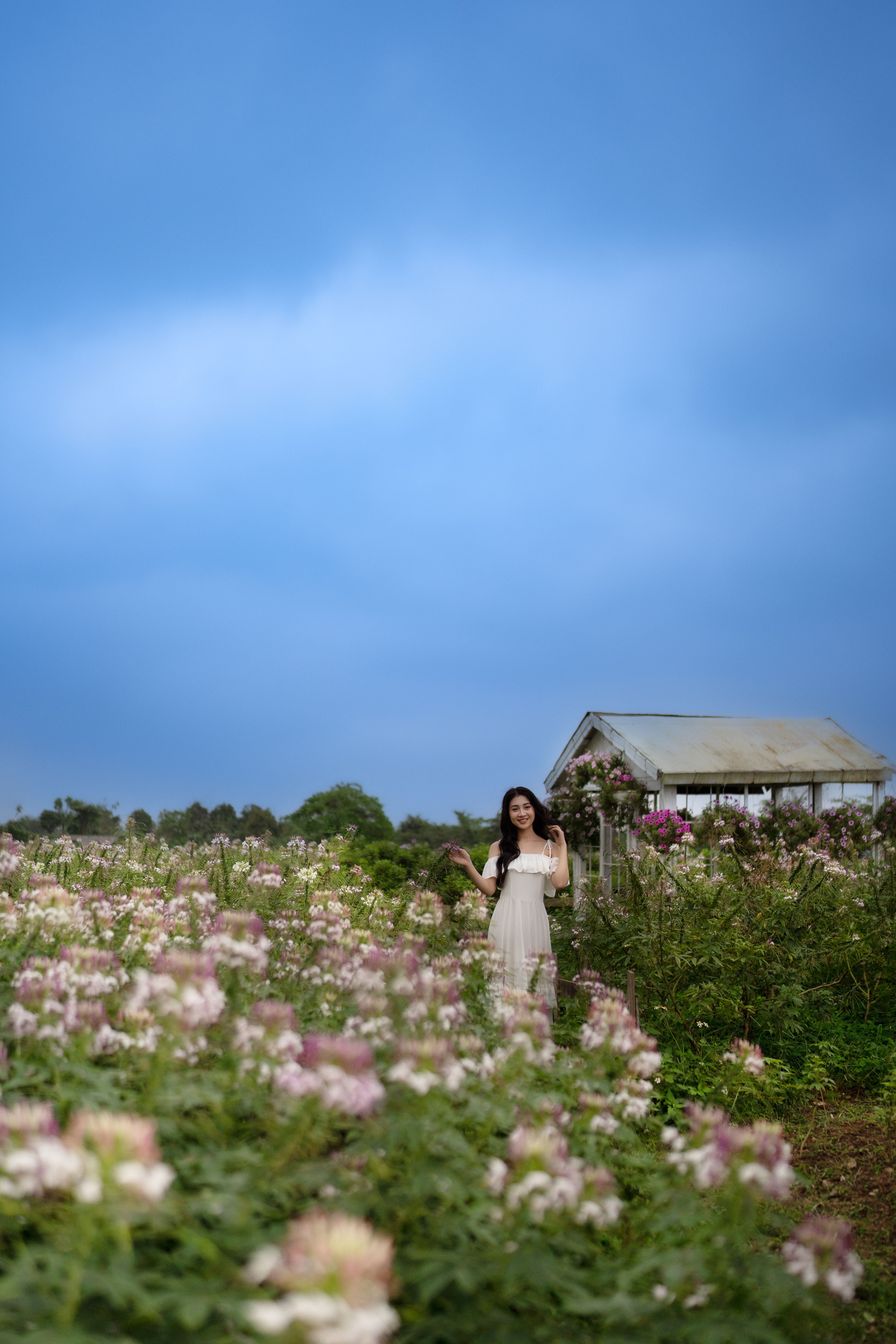 Woman in a White Dress Standing on a Meadow · Free Stock Photo