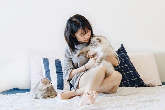 一位女士和两只猫躺在床上，在舒适的室内环境中放松
