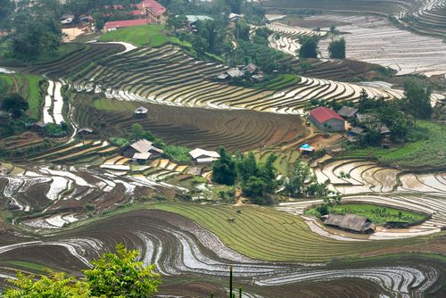 Free A breathtaking aerial view of intricate rice terraces filled with water reflecting the sky. Stock Photo