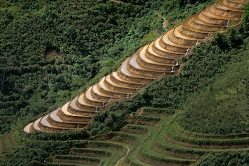 Aerial Photography Of Rice Terraces