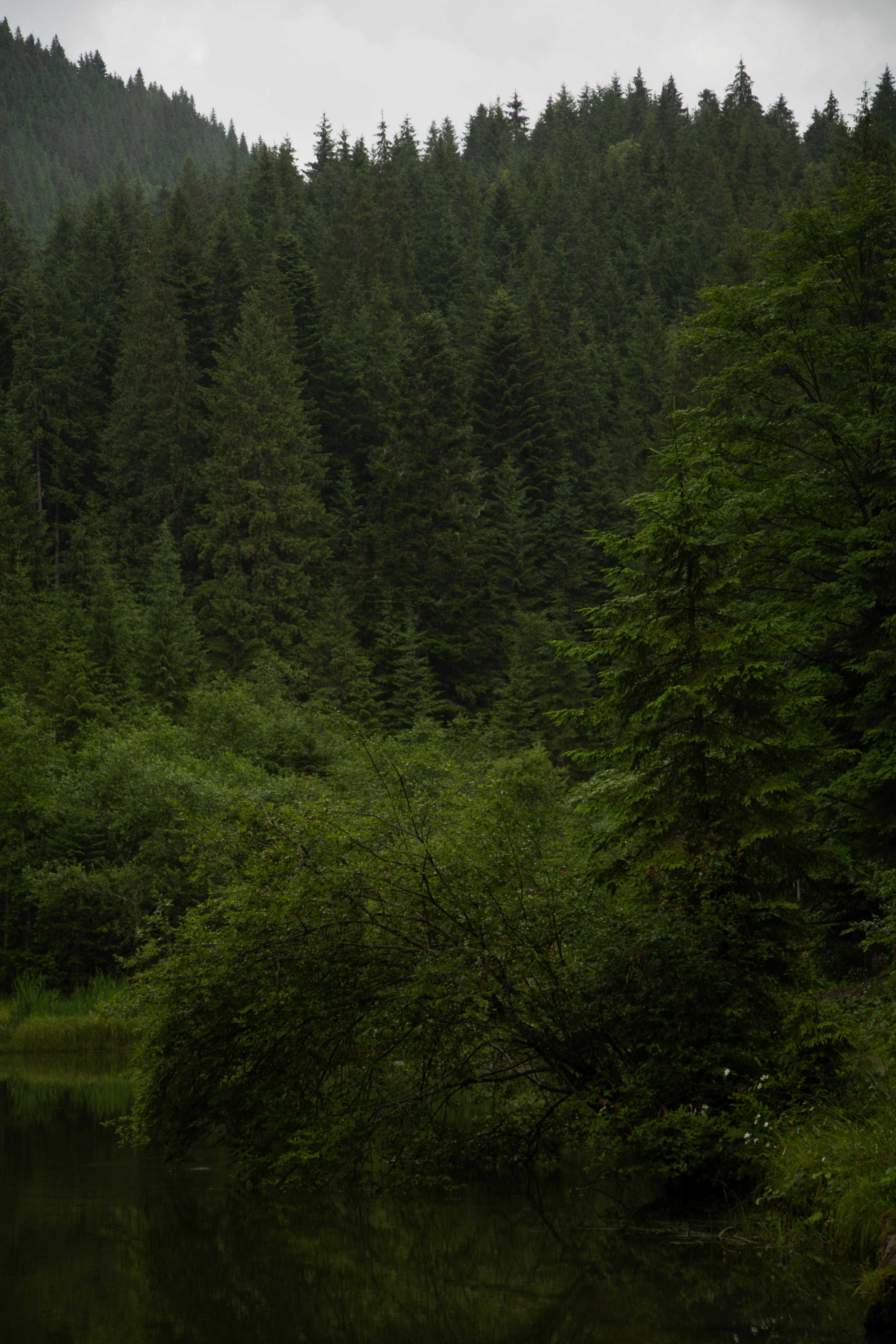 林祐介写真集　PicturesqueWinterLandscape•KARHU japan#snap#lovers_nippon#ig_japan #japangem#traveljapan