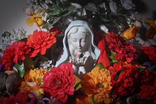 マリー, マリア, 花の無料の写真素材