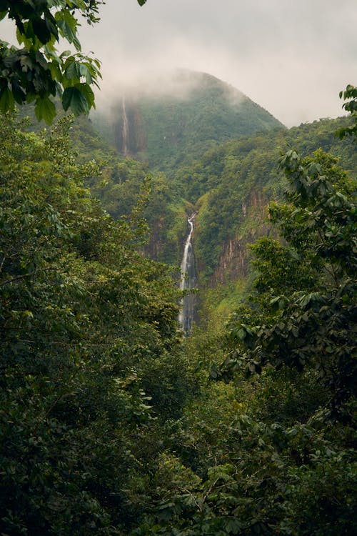 Cascadas En La Montaña