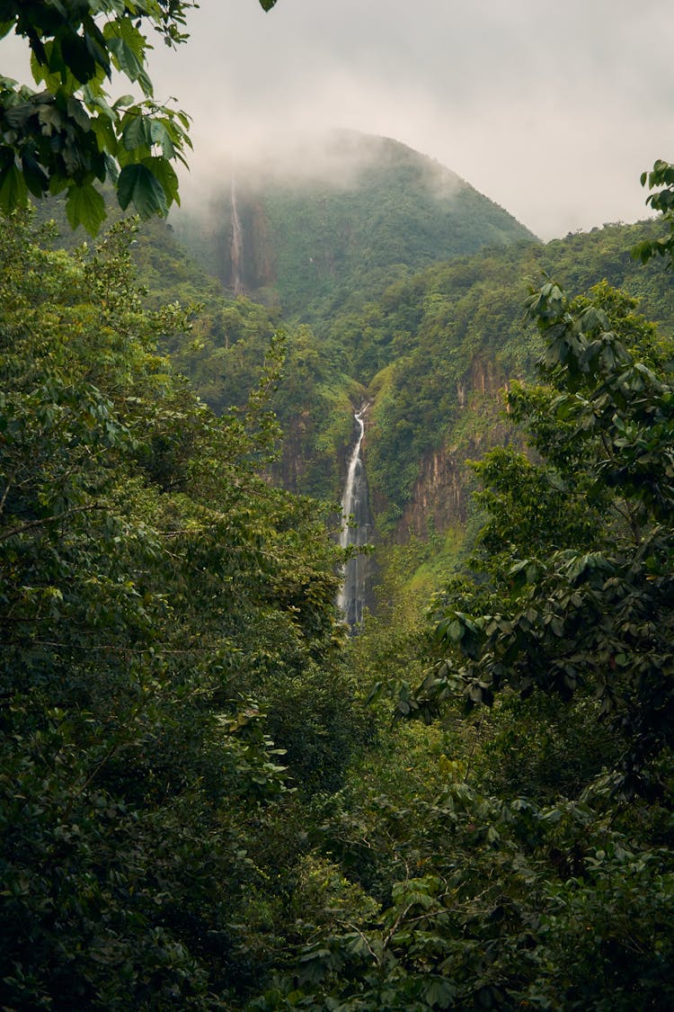 Waterfalls In Mountain