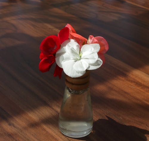 A vase with flowers in it on a table