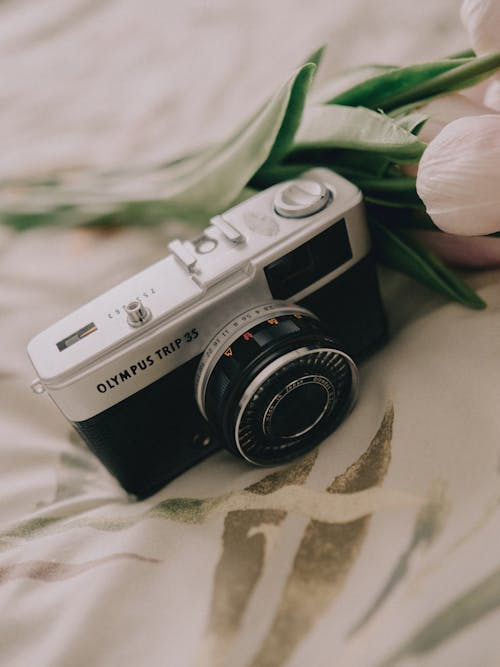 Close-up of a Vintage Film Camera Lying next to Tulips 
