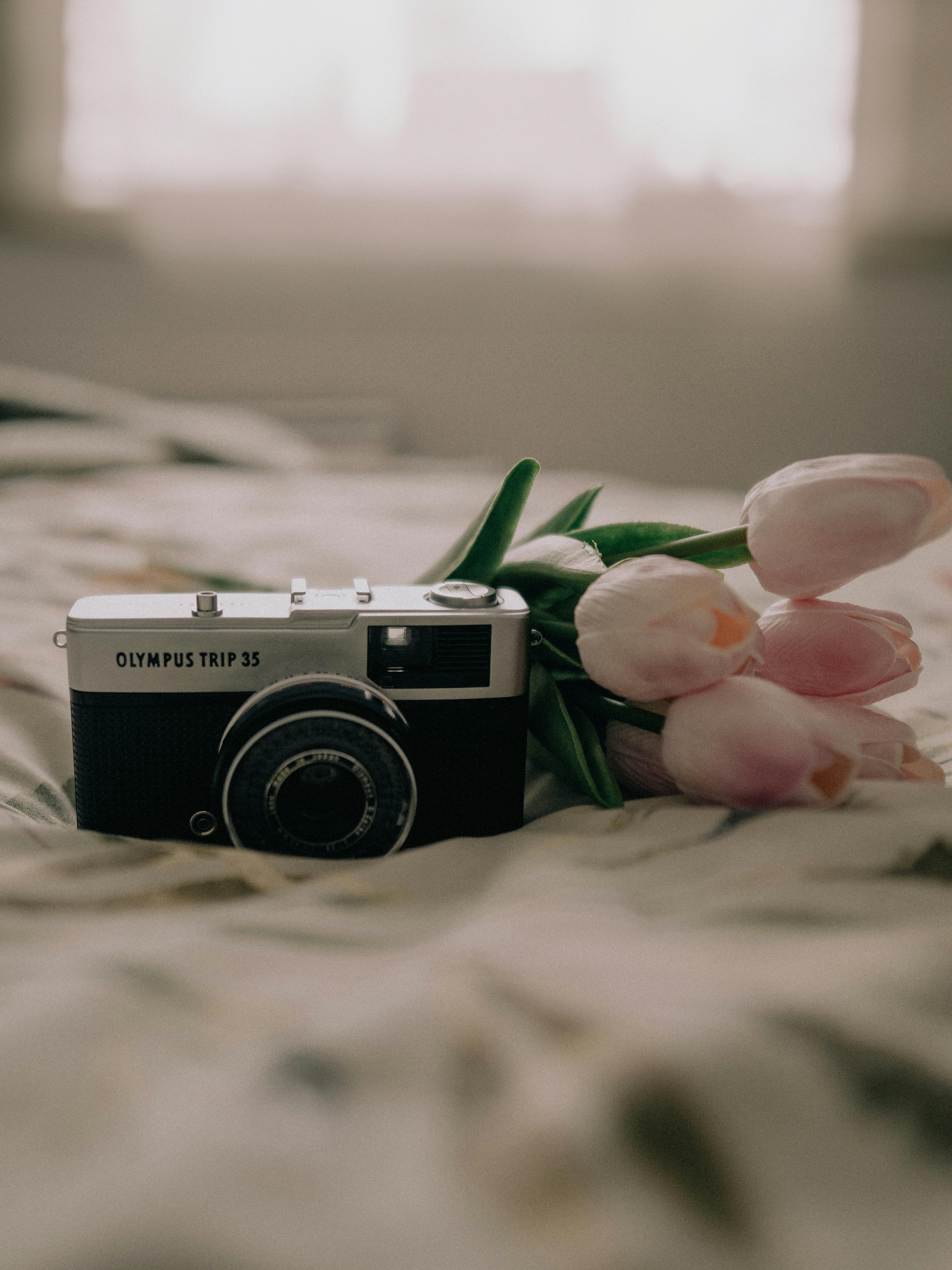 close up of a vintage film camera lying next to tulips