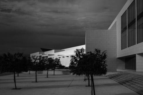 Darmowe zdjęcie z galerii z architektura, czarno-białe tło, czarno-biały