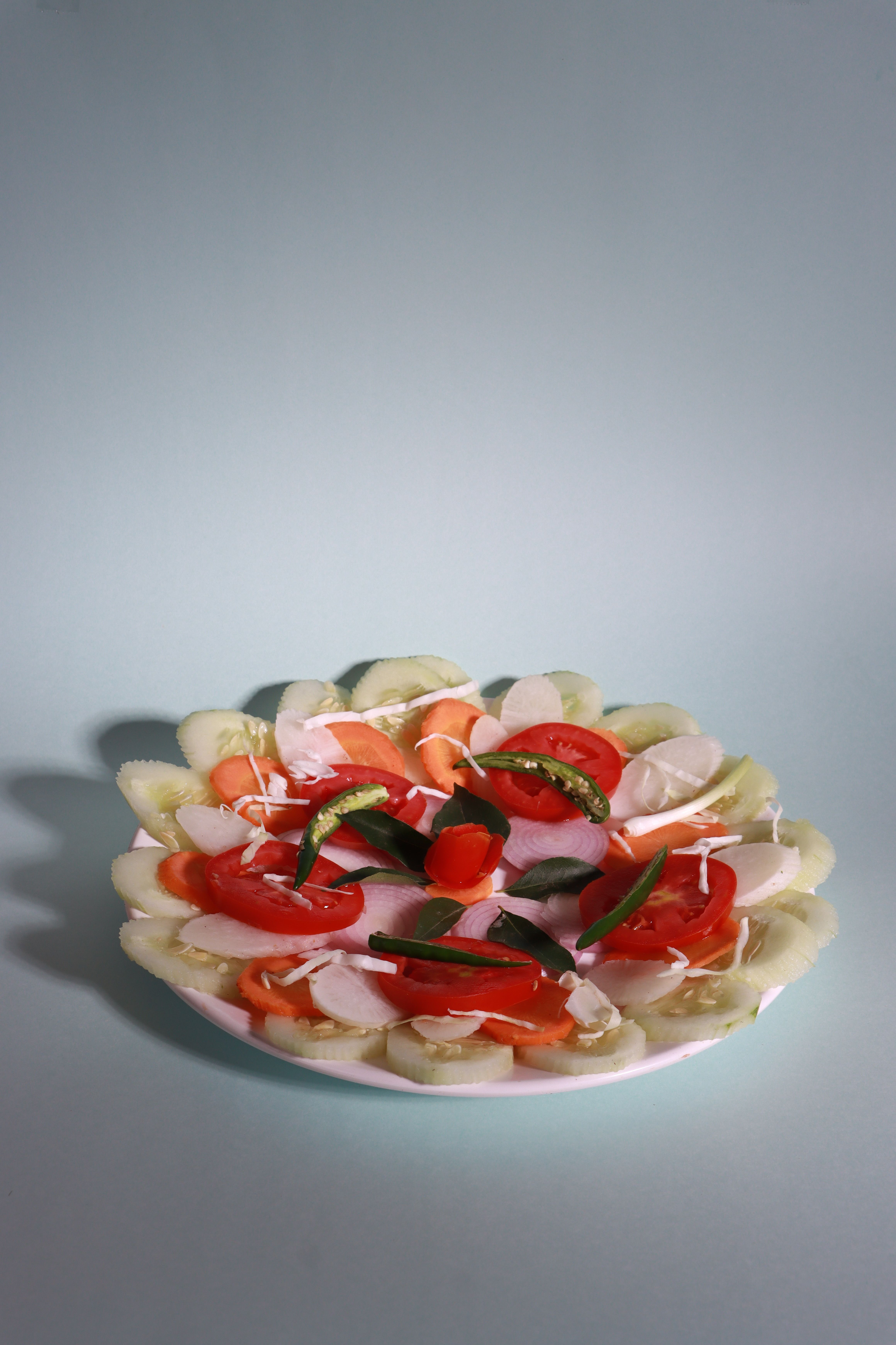 A vibrant plate of assorted fresh vegetables arranged beautifully.