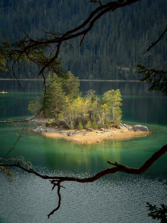 A small island surrounded by trees in the middle of a lake