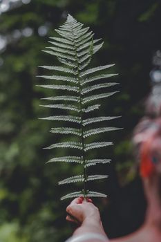 A person holds a large green fern leaf outdoors in a lush, tropical environment.