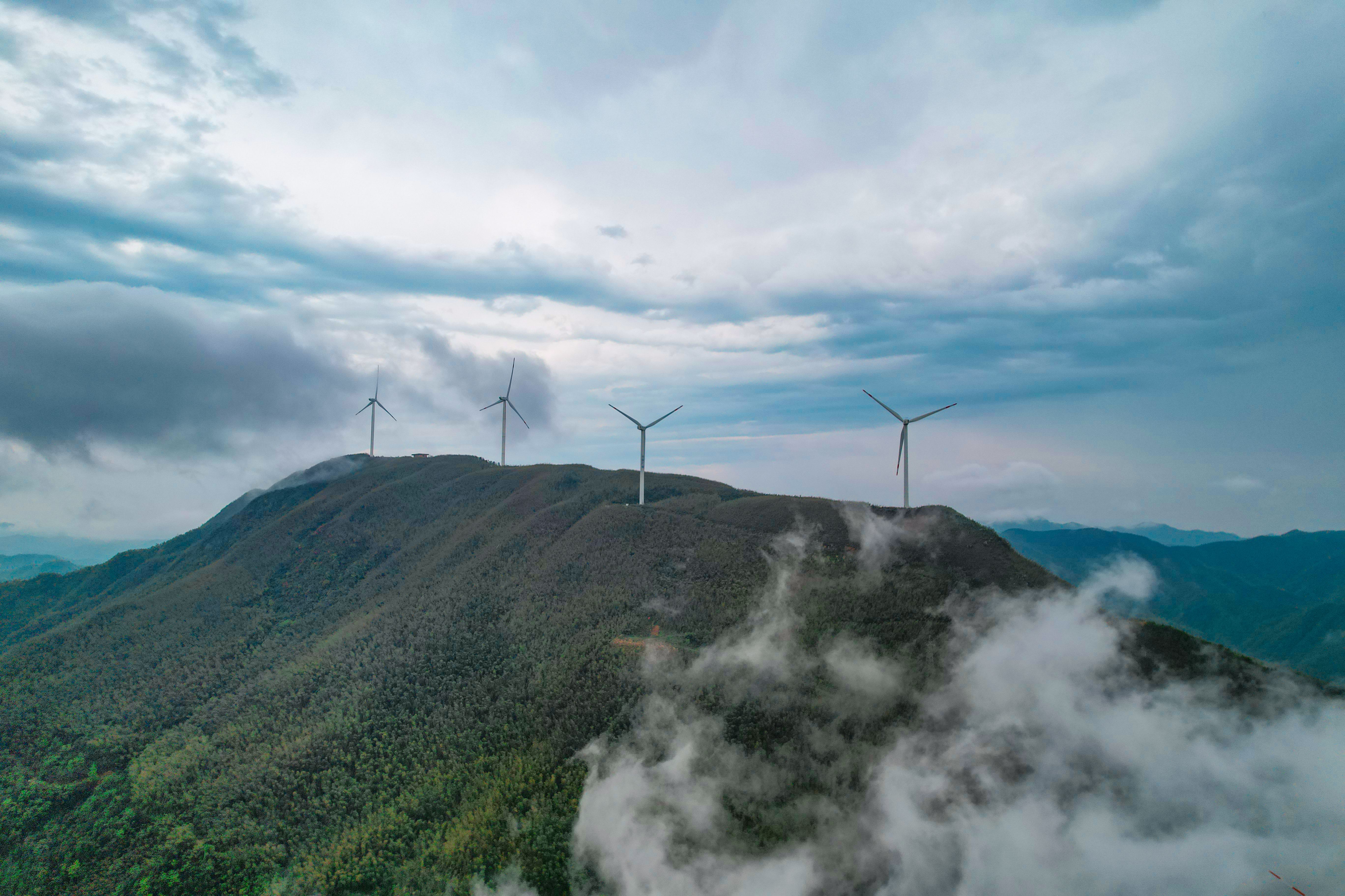 Carbon-Neutral AI Certification: The New Gold Standard in Sustainable Technology
